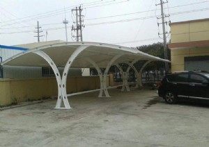 ȪͨĤY(ji)(gu)܇(ch)ͣ܇(ch)ߴ^m